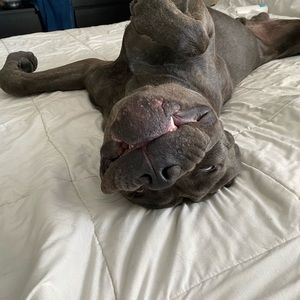 Meet your Posher, Violet